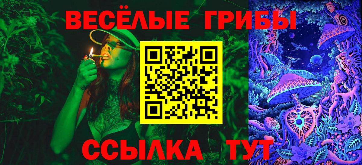 Псилоцибиновые грибы Psilocybine cubensis Лабинск