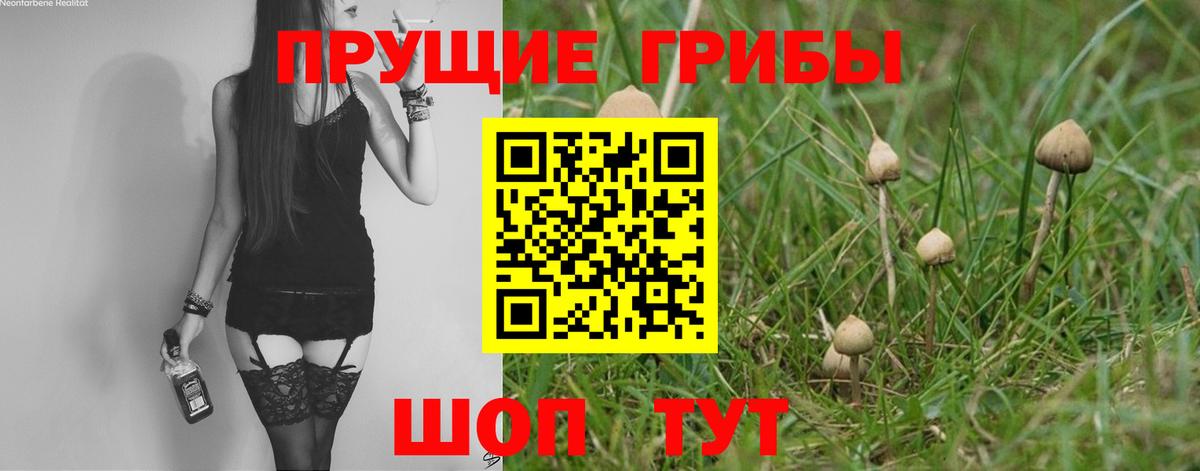 Псилоцибиновые грибы ЛСД  магазин    Лабинск  Вход с VPN 